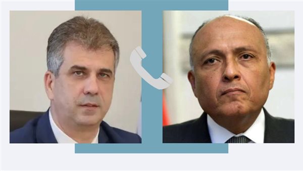 شكري ووزير الخارجية