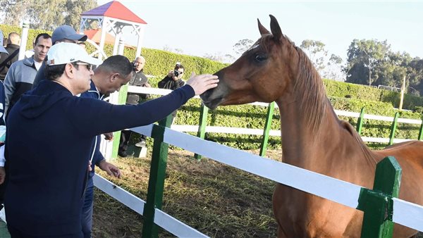 الرئيس عبد الفتاح