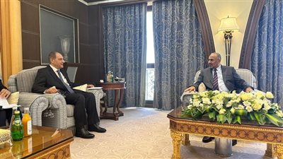 الرئاسة اليمنية تشيد بالدور المصري الفعال لإحلال السلام