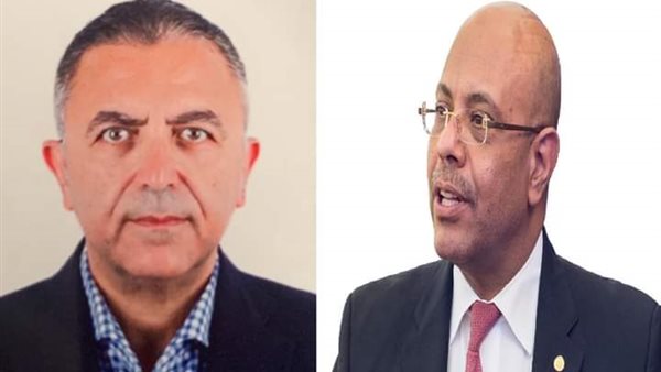 عاصم فهمي ومحمد مهران