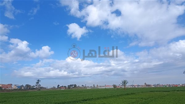 سماء بني سويف 