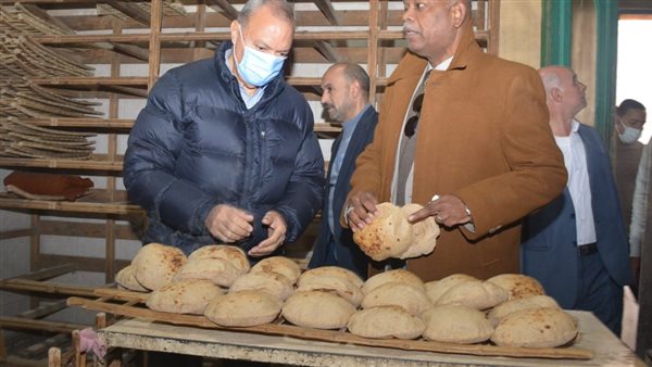 محافظ القليوبية