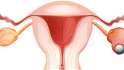 دراسة: النساء العاملات في صالونات التجميل أكثر عرضة للإصابة بسرطان المبيض