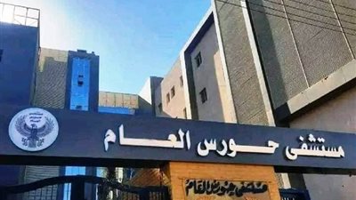 نائب محافظ أسوان: بدء التشغيل التجريبي لقسمي الأطفال والمبتسرين والعيادات الخارجية بمستشفى حورس العام