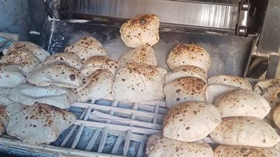 تحرير 74 مخالفة تموينية متنوعة خلال حملات رقابية في المنيا