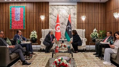 تونس والجزائر أول الحاضرين لاجتماع وزراء الخارجية العرب بدعوة من الحكومة الليبية منتهية الولاية