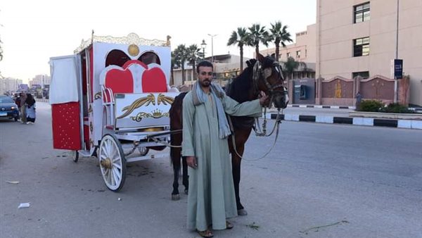 العربة الحنطور الجديدة