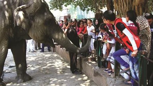 حديقة الحيوان