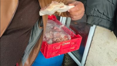 ضبط وإعدام 9 أطنان أغذية غير صالحة للاستهلاك الآدمي بالشرقية | تفاصيل