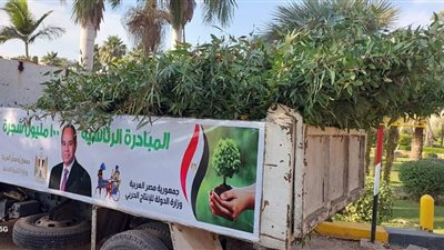 نظافة القاهرة: توزيع 28 ألف شجرة على الشوارع والمدارس والجامعات