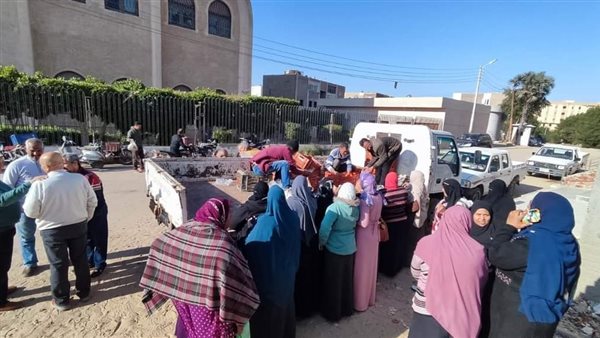 أسماك مفيض توشكى