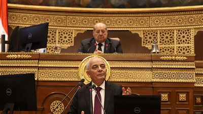 تدريس اللغة الفرنسية في المرحلة الإعدادية.. أبرز تصريحات وزير التربية والتعليم في مجلس الشيوخ