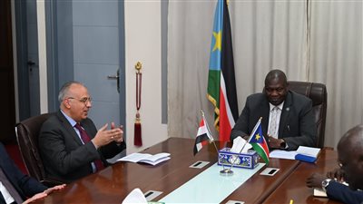 وزير الري: دعم مصر دائم لتنمية جنوب السودان