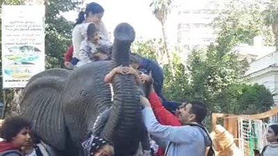 حديقة الحيوان تشهد إقبالا كبيرا من الزائرين قبل تنفيذ أعمال تطويرها | بث مباشر 