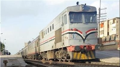 بسبب موجة الطقس السيئ.. سقوط شجرة على شريط السكة الحديد بالمنوفية