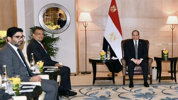 السيسي يستقبل رئيس