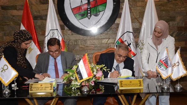 المستشار عبد الرؤوف