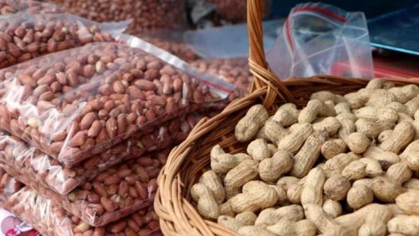  الفول السوداني