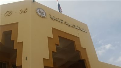 شوشة: بدء العمل بمحكمة شمال سيناء يأتي في إطار عودة الحياة لطبيعتها