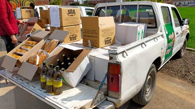 الأرز بـ 15 جنيها.. الزراعة تطلق قافلة متحركة لبيع السلع بأسعار مخفضة ببني سويف | بث مباشر