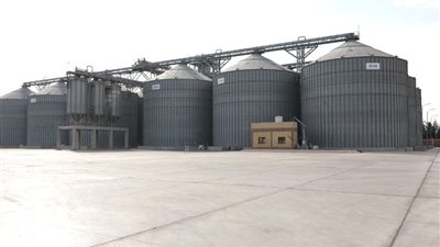 نقيب الزراعيين: مشروع الصوامع قلل فاقد القمح لـ5% | فيديو