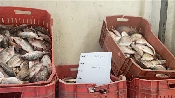 اسماك مفيض توشكي