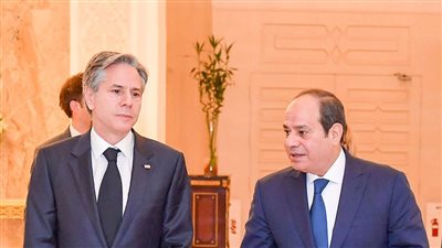 الوصول لحل شامل وعادل.. السيسي يبحث مع وزير خارجية أمريكا تطورات الأوضاع بالأراضي الفلسطينية