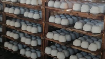 صحة الدقهلية تضبط 19 طن منتجات ألبان غير صالحة للاستهلاك الآدمي