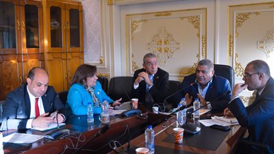 لجنة برلمانية تناقش تراجع الصناعات القائمة على استغلال الثروة السميكة وعدم توطين صناعة الدراجات الهوائية