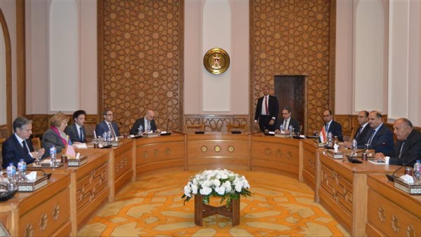 وزير الخارجية يلتقي