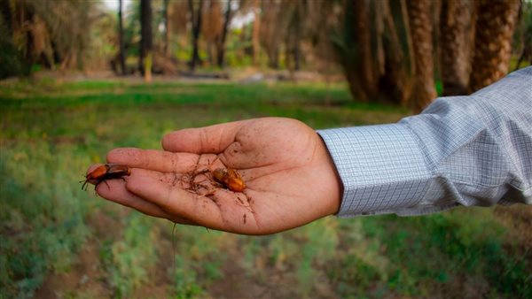  المكافحة الفعالة