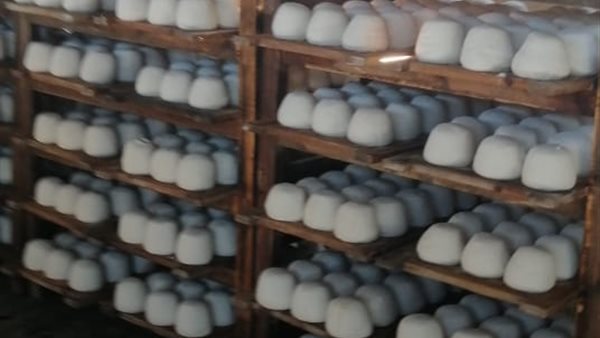 جانب من الحملة 