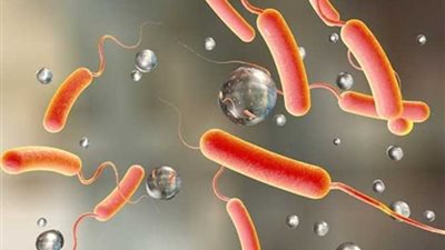 الأمم المتحدة تخصص 2 مليون دولار لمكافحة تفشي الكوليرا في الصومال