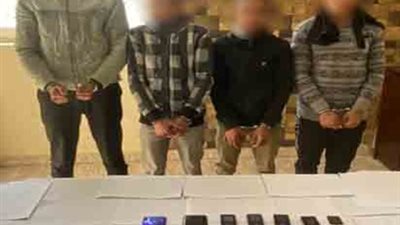 محتاجين نحدث البيانات.. القبض على عصابة الاستيلاء على فيزات المواطنين