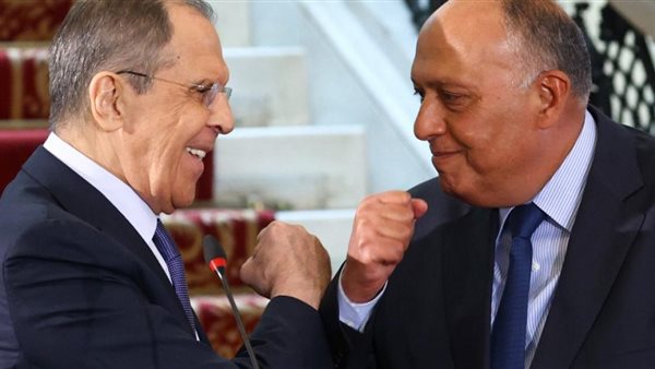 سامح شكري وسيرجي