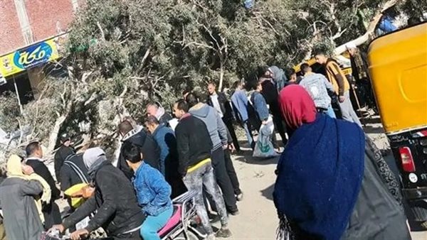 سقوط شجرة فوق توك