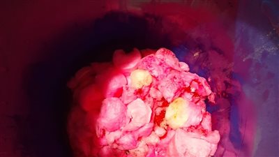 ضبط 4500 عبوة غزل بنات غير صالحة للاستهلاك بالفيوم