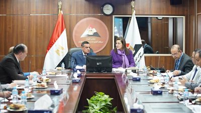 برئاسة هالة السعيد وهشام آمنة.. اجتماع مصغر للجنة تسيير برنامج التنمية المحلية بصعيد مصر