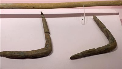 متحف الغردقة يعلن عرض قطعة أثرية لـ عصا الصيد المرتدة | صور 