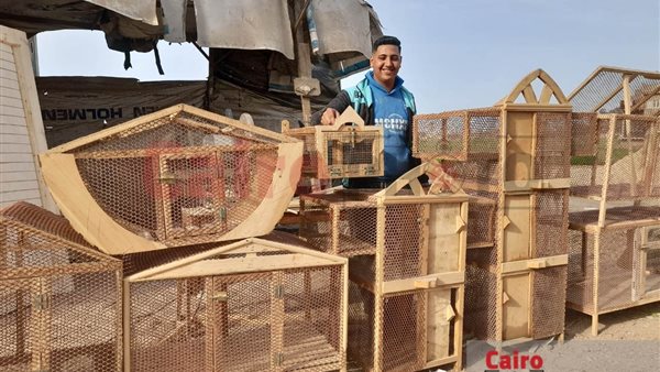 بأشكال هندسية مميزة..