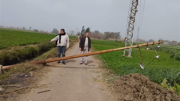 القبض على تشكيل عصابي