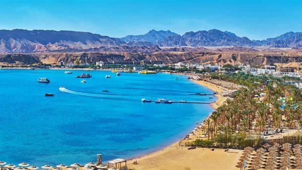 إصدار أول رخصة لمركز