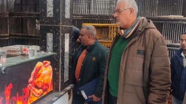 حملة بحي وسط الإسكندرية