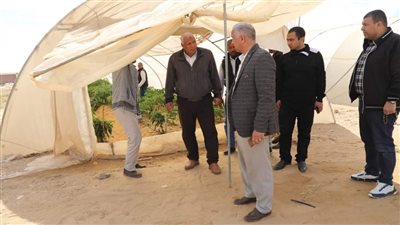  محافظ الوادي الجديد يوجّه بزيادة عدد الصوب الزراعية لاستقبال شهر رمضان