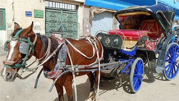 عربة الحنطور 