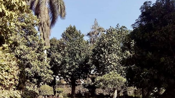 حديقة متحف ركن فاروق