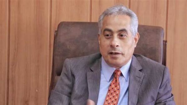 حسن شحاته وزير القوى