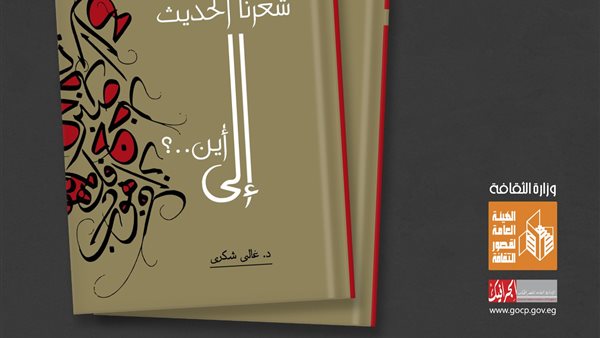 غلاف الكتاب 