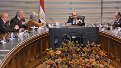 وزير الطيران يبحث مع ممثلي القطاع الخاص آليات تعزيز منظومة النقل الجوي