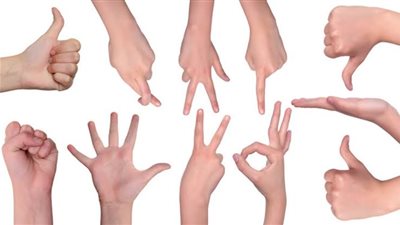 القومي لذوي الإعاقة يعتمد مترجمي لغة الإشارة جهة رسمية | خاص